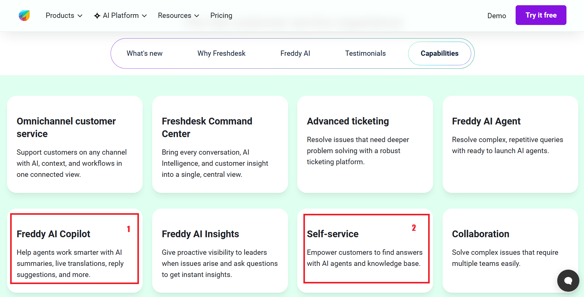 Screenshot annotation — Capabilities section